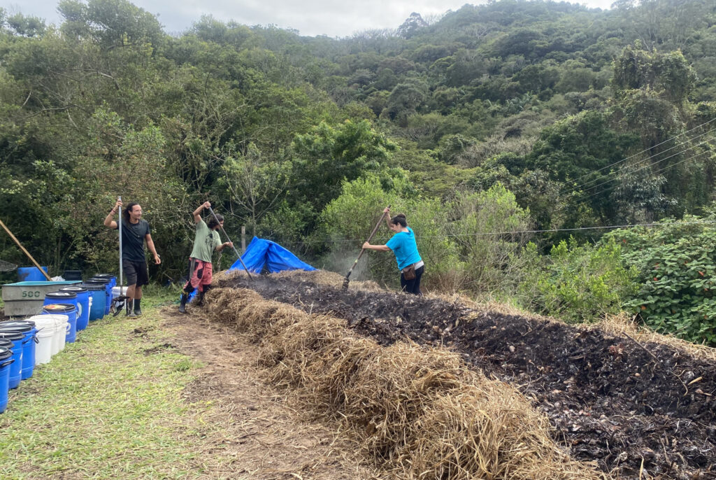 Manejo em leira termofílica 
