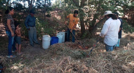 Imagem do WhatsApp de 2025-03-27 à(s) 14 53 42_2ab12063 (1)